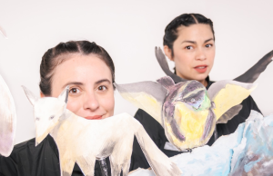 GUILLATÚN EN EL CIELO Y UNA CENICIENTA CHILENA: TEATRO VIAJEINMÓVIL CELEBRA SEPTIEMBRE