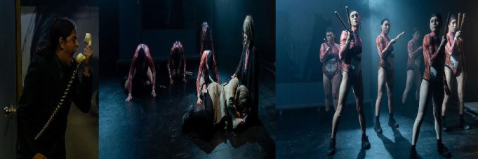 SOY DIRECTORA DE DANZA CONTEMPORÁNEA Y ME ESTOY VOLVIENDO LOCA