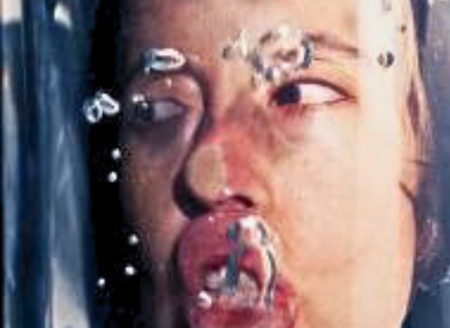 OBRA SOBRE CRISIS ECOLÓGICA INSPIRADA EN CONTINENTE PERDIDO