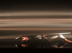 DANZA FASMA. UNA EXPERIENCIA SENSORIAL INTEGRAL