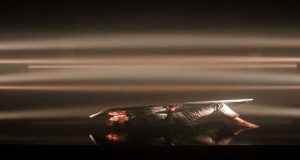 DANZA FASMA. UNA EXPERIENCIA SENSORIAL INTEGRAL