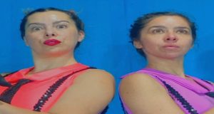 PREMIADA COMPAÑÍA ESTRENA INÉDITO STAND UP DANCE SOBRE LAZOS DE HUMANOS CON PERROS
