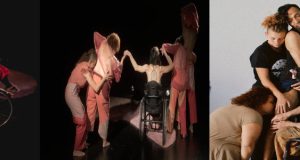 DEMOCRATIZAR LA DANZA Y EL PLAZER CON ELENCO DIVERSO
