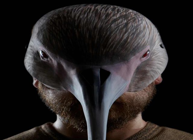 OBRA FAMILIAR CUERVOS DEL PANTANO EN M100