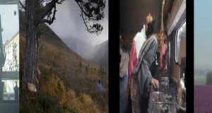 Identidades Festival y Bestias Danzantes Abren Convocatoria