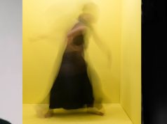 RETRATO DE LA VIDA QUE TE DI