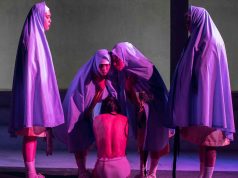 REINTERPRETACIÓN DE LAS SEXO-DISIDENCIAS Y LA PERFORMANCE EN LA OBRA UNA SERPIENTE ENROLLADA EN EL ÁRBOL
