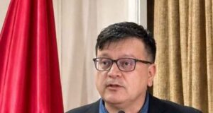 MIRAR TAMBIÉN HACIA ADELANTE