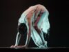 VIII Y IX FESTIVAL INTERNACIONAL DE BUTOH EN CHILE (FIBUTOH): CUERPO Y MEMORIA