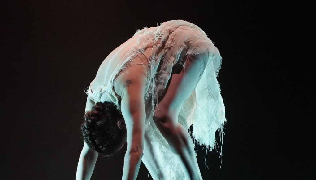 VIII Y IX FESTIVAL INTERNACIONAL DE BUTOH EN CHILE (FIBUTOH): CUERPO Y MEMORIA